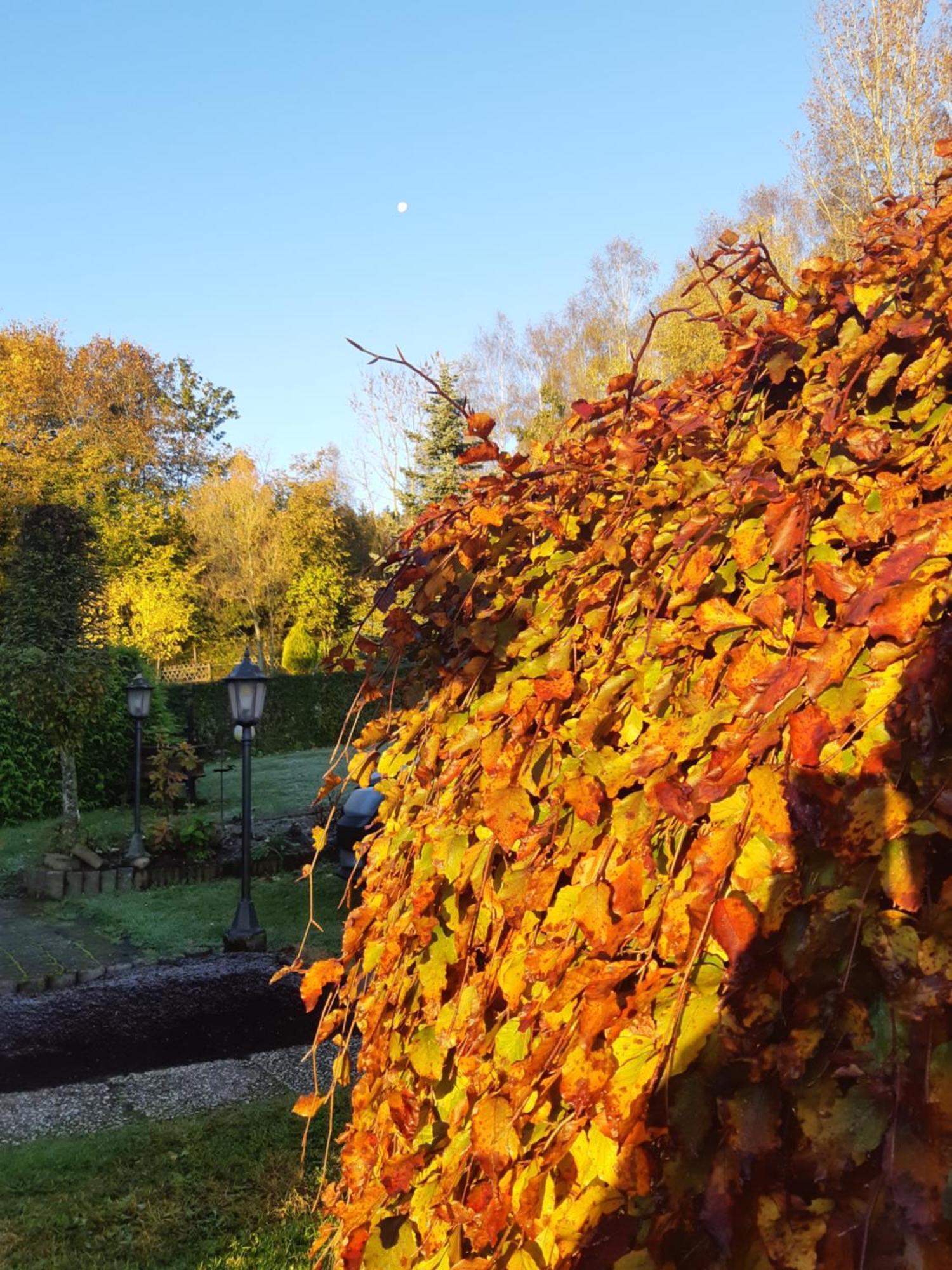 Deine-Eifel-Ferienwohnung Feusdorf Bagian luar foto
