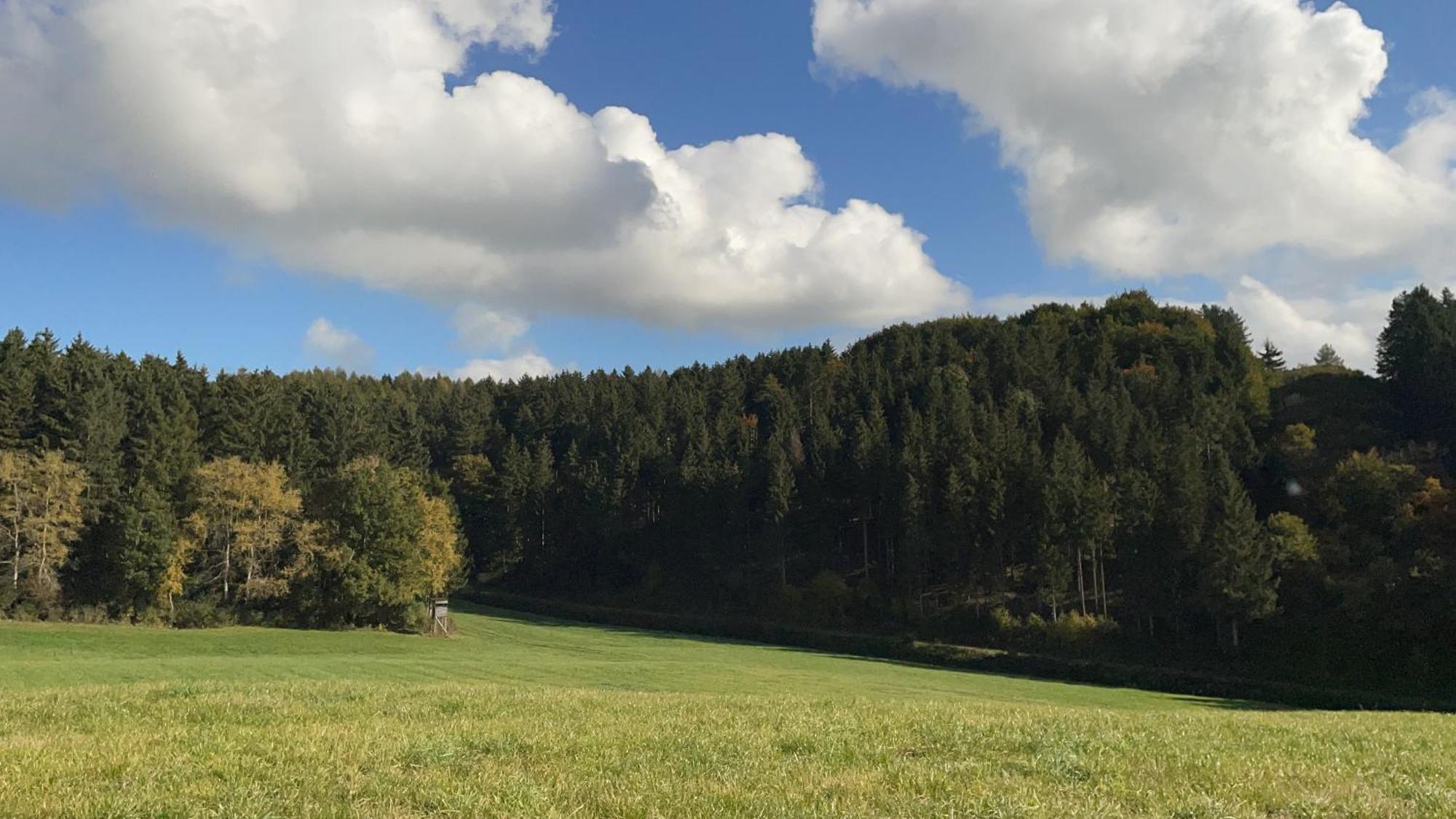 Deine-Eifel-Ferienwohnung Feusdorf Bagian luar foto