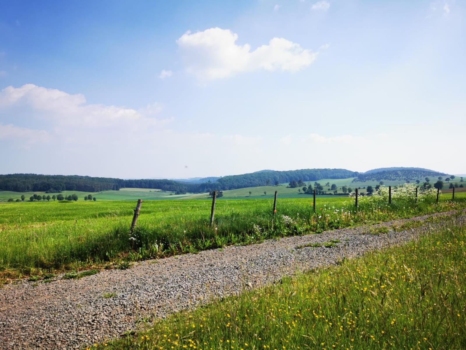 Deine-Eifel-Ferienwohnung Feusdorf Bagian luar foto