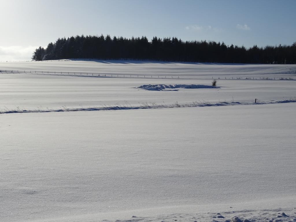 Deine-Eifel-Ferienwohnung Feusdorf Bagian luar foto