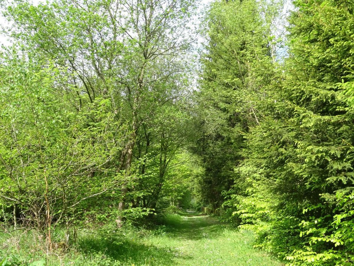 Deine-Eifel-Ferienwohnung Feusdorf Bagian luar foto