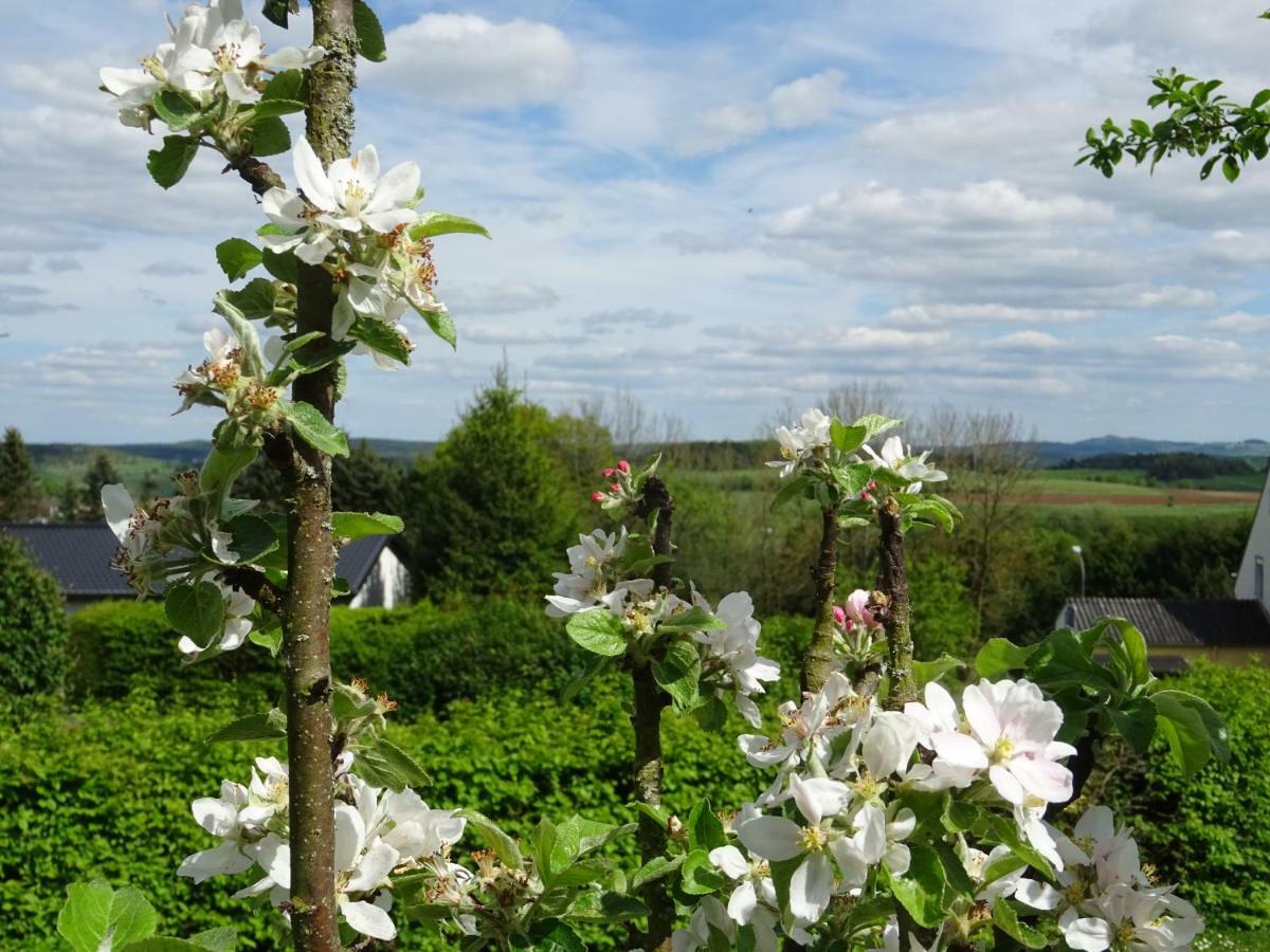 Deine-Eifel-Ferienwohnung Feusdorf Bagian luar foto